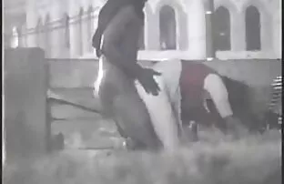 सेक्सी पोर्न काले मालकिन अपमानित सेक्सी वीडियो पिक्चर सेक्सी करता है सेक्स गुलाम के साथ उसके शुतुरमुर्ग
