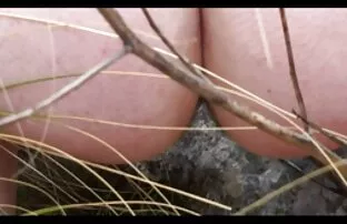 सेक्सी पोर्न परिपक्व रूसी सुनहरे बालों सेक्सी फिल्म हिंदी में देखने वाली वीडियो वाली आनंद मिलता है कामुक मातम के साथ एक उत्साहित घोड़े